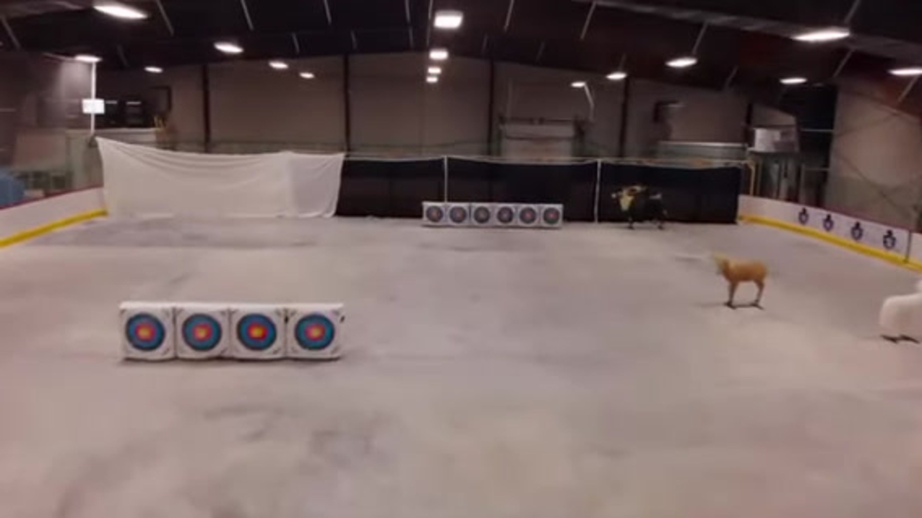 Service Demonstrations
